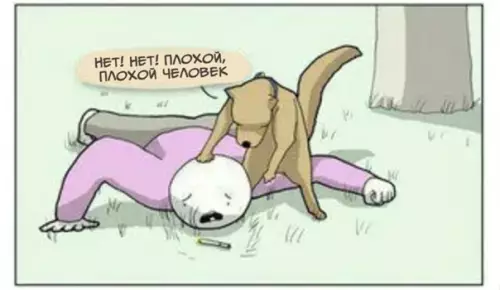 продолжение Смешная картинка №564744 Hy ты чeгo в caмoм дeлe, двyнoгий?