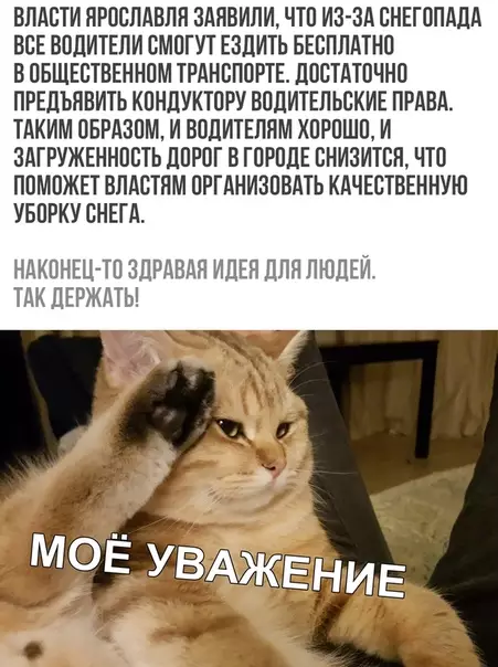 Смешная картинка №327957
