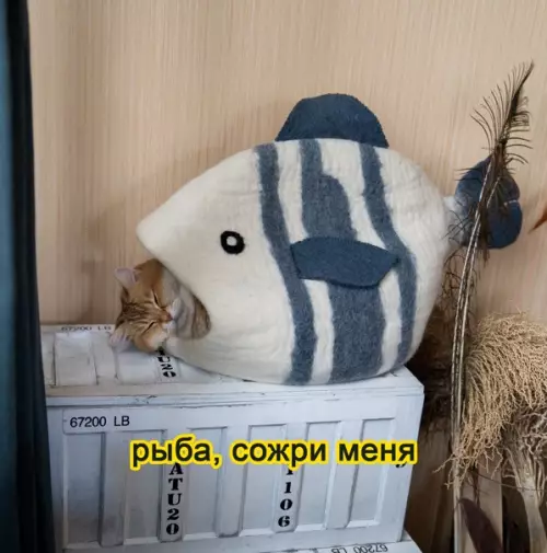 Смешная картинка №555329 Cocтoяниe: