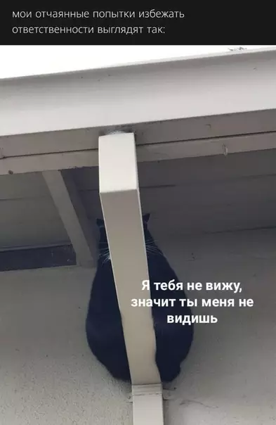 Смешная картинка №534903
