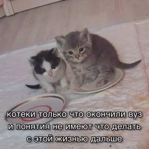 Смешная картинка №705829