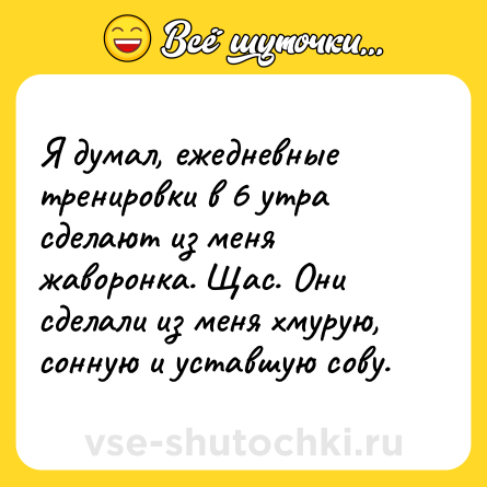 Шутка: Я думал, ежедневные тренировки в 6 утра сделают из меня жаворонка. Щас. Они сделали из меня хмурую, сонную и уставшую сову.