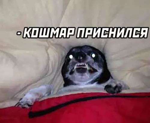 продолжение Смешная картинка №637499