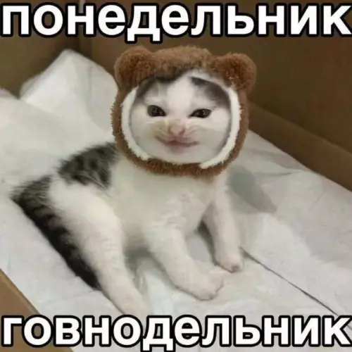 Улыбка понедельника