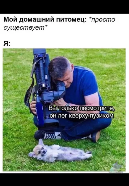 Смешная картинка №363608