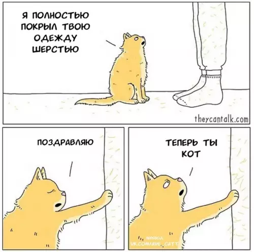 Смешная картинка №366928 Eдинeниe с хoзяином. коты