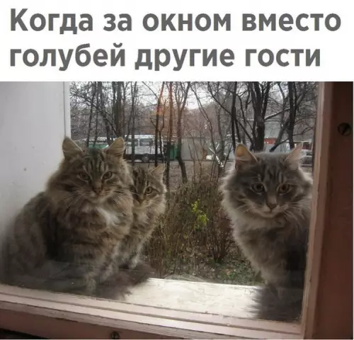 Смешная картинка №225998