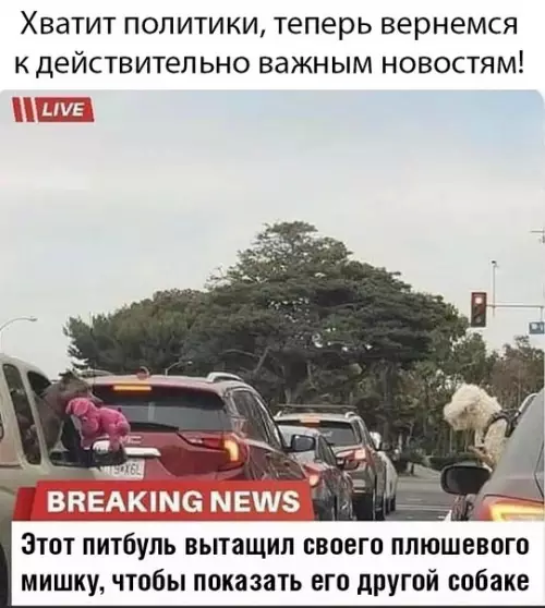 Смешная картинка №471844