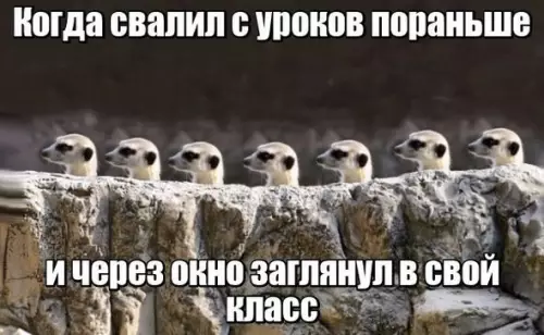 Смешная картинка №225327 школа