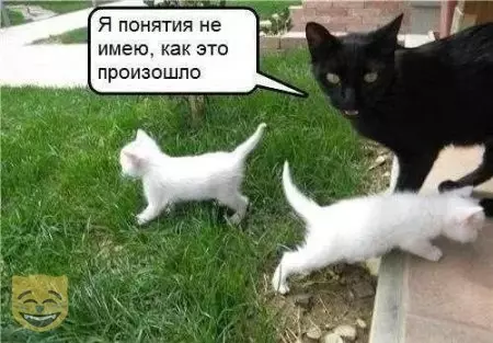 Смешная картинка №479010 #приколы #картинки #мемы ?