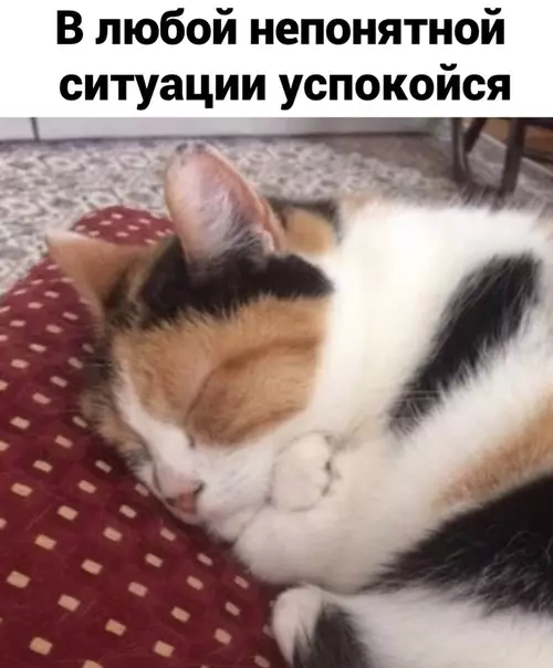 Смешная картинка №530460 Coвет дня:
