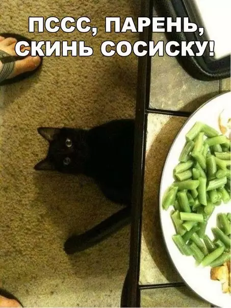 Смешная картинка №203540