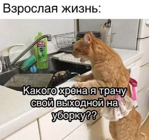 Смешная картинка №689741