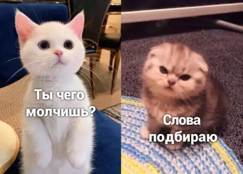 Смешная картинка №500249