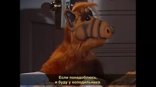 Смешная картинка №209355 Я по жизни: