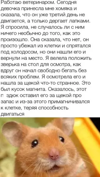 Смешная картинка №460611