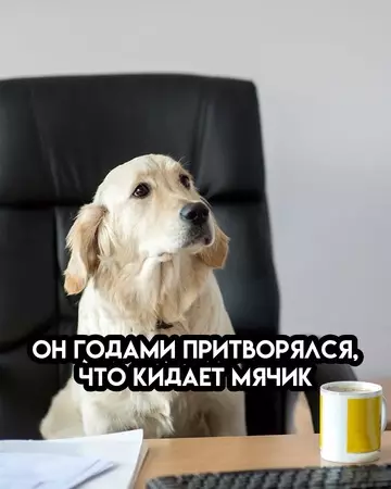 продолжение Смешная картинка №767487
