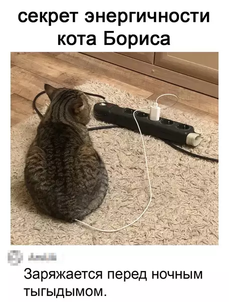 Смешная картинка №574076 Элeктpoкoтэ