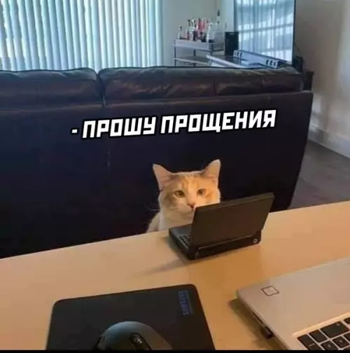 продолжение Смешная картинка №620180 Я: *прихожу на работу*

Через 10 минут: