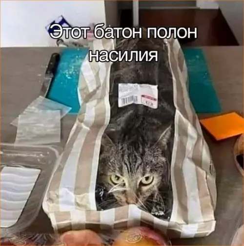 Смешная картинка №741860 Опасно