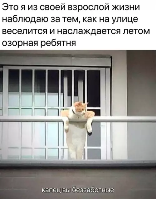 Смешная картинка №691180