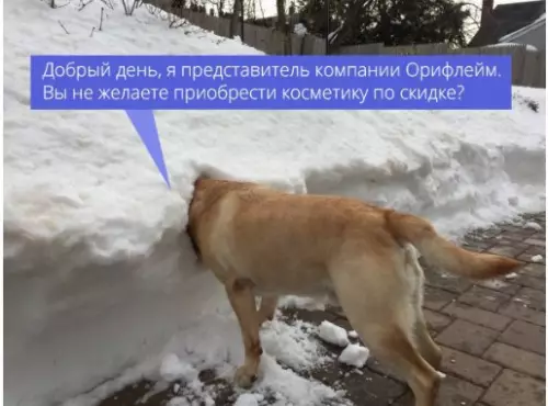 Смешная картинка №249523 Спасибо, я подумаю