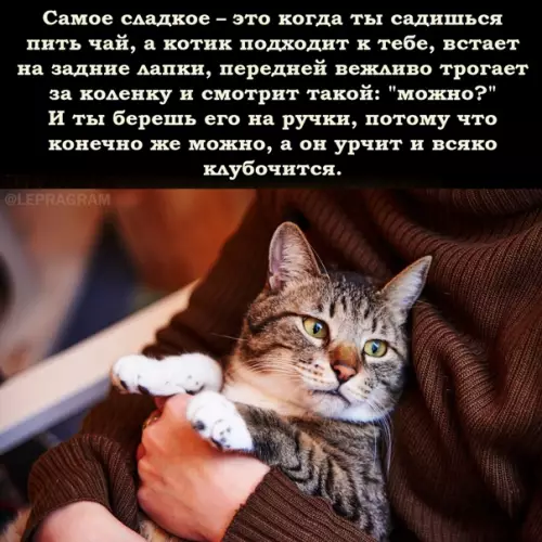 Смешная картинка №539489 Жизуля