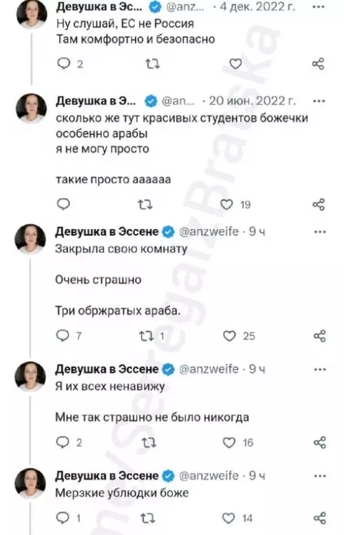 Смешная картинка №687364 Коротко про год жизни в Германии