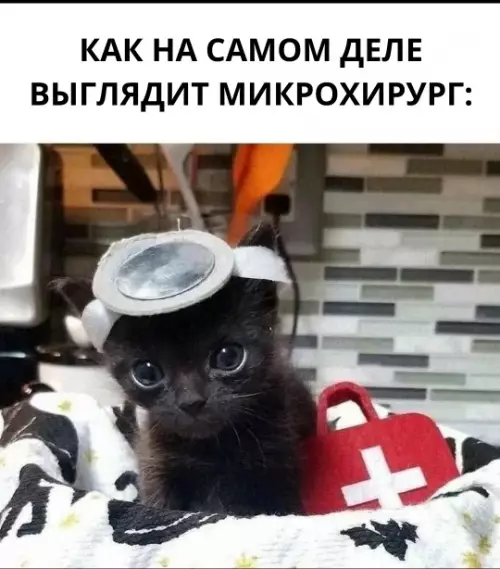 Как на самом деле выглядит микрохирург