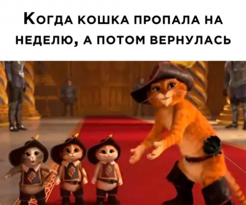 Смешная картинка №683528