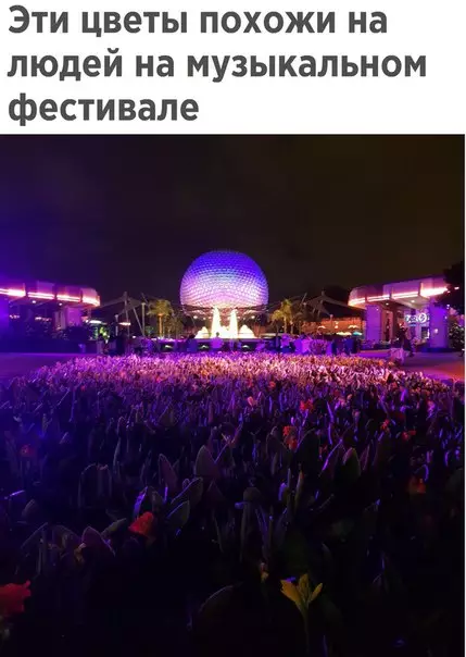 Смешная картинка №226893