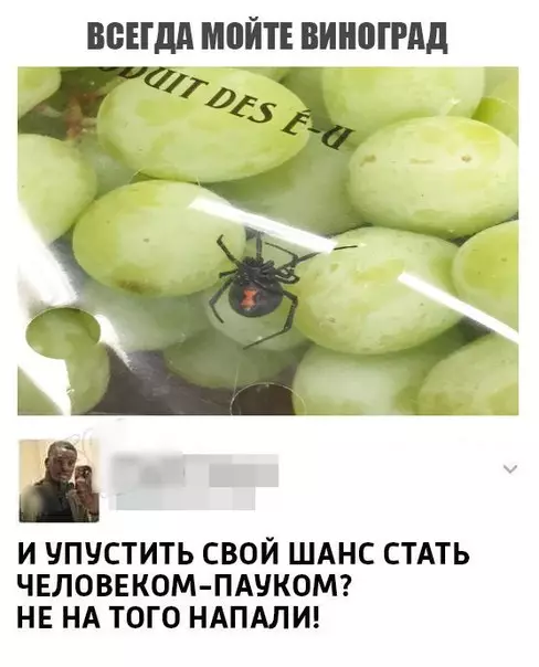Смешная картинка №195326