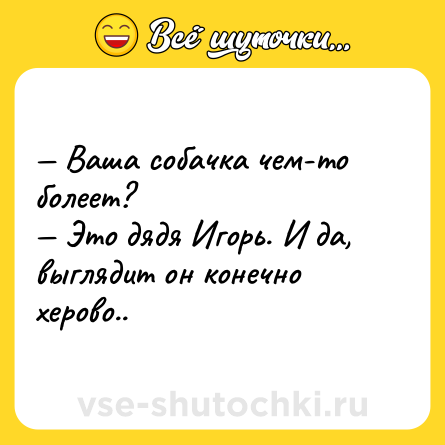 Шутка: — Ваша собачка чем-то болеет? <br>— Это дядя Игорь. И да, выглядит он конечно херово..