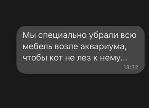 Смешная картинка №583957 коты