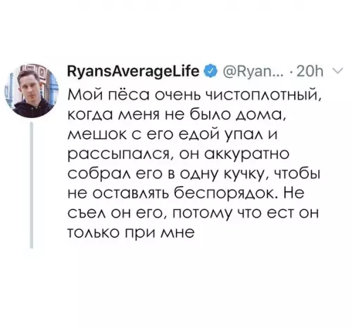 Смешная картинка №611715 Собаки