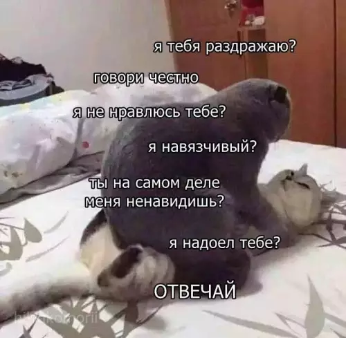 Смешная картинка №694119