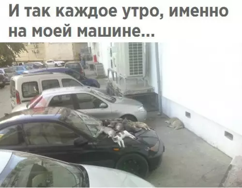 Смешная картинка №255151