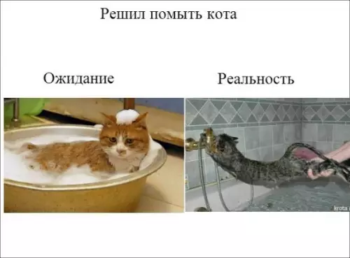 Смешная картинка №261482