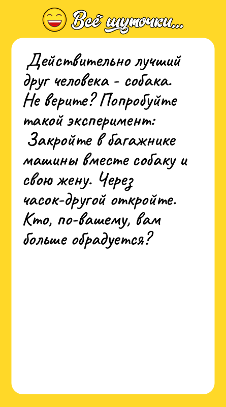 Действительно лучший друг человека - собака. Не верите? Попробуйте