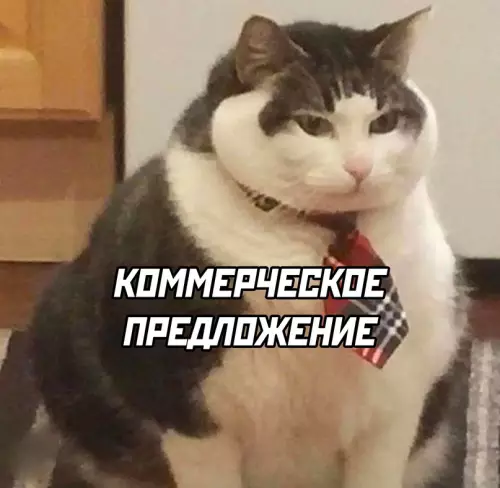 Смешная картинка №692409 Коты
