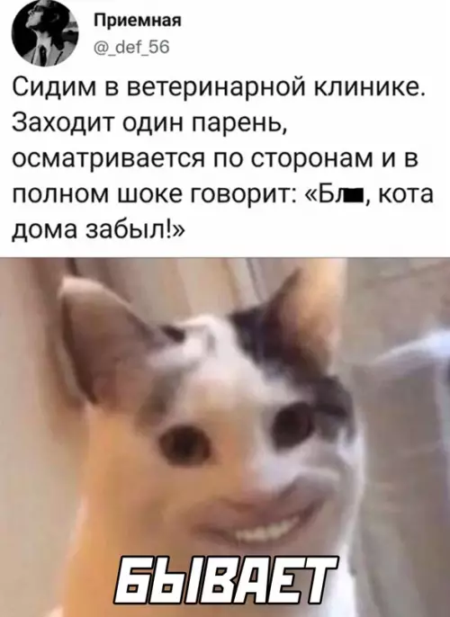 Смешная картинка №646569