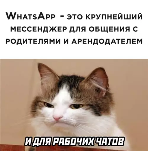 Смешная картинка №541368