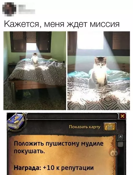 Смешная картинка №545401 Ежедневный квест