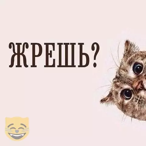 Смешная картинка №372712 #приколы #картинки #мемы ?