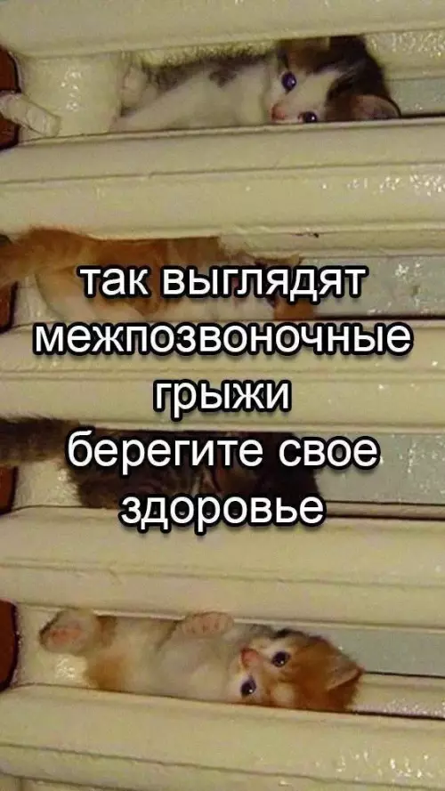 Смешная картинка №799375