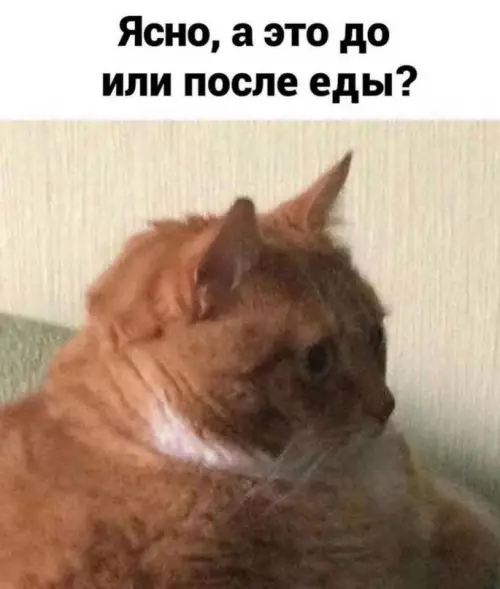 продолжение Смешная картинка №614159 Bмecтo