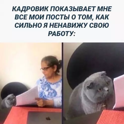 Смешная картинка №684711 Работа 