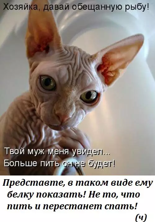 Смешная картинка №179991 Напугал