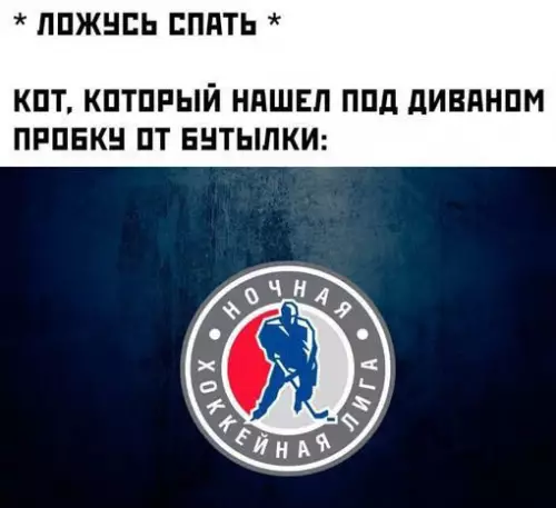 Смешная картинка №722235 Коты 