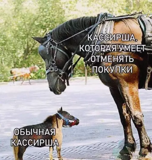 Смешная картинка №297520